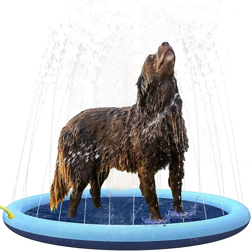 Piscina Divertida PetLoop™ com Chafariz | Para Cachorro