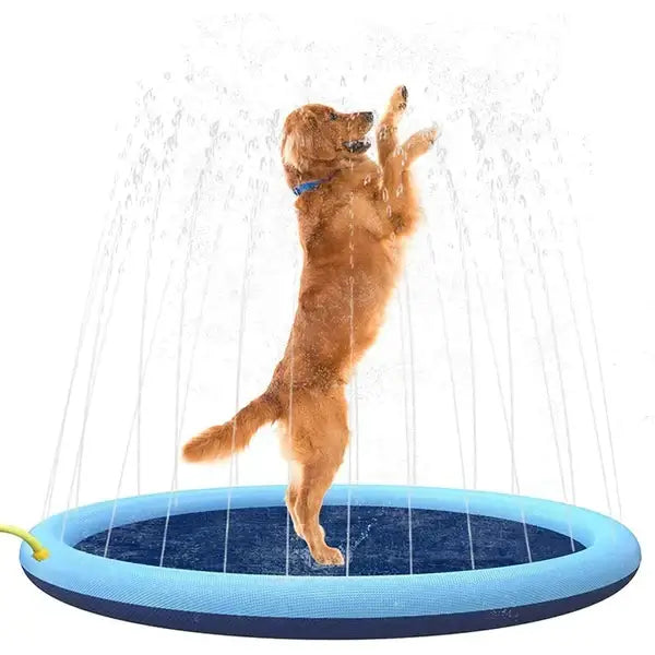 Piscina Divertida PetLoop™ com Chafariz | Para Cachorro