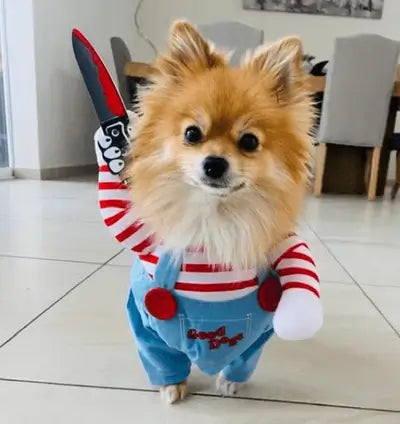 Fantasia para Cachorro - Chucky